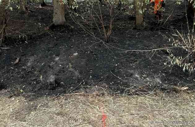 FW-SG: Einsatzerfolg beim Rekord-Waldbrand: Bergische Kräfte drängen Flammen zurück - Enorme Welle der Hilfsbereitschaft aus der Bevölkerung