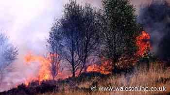 Fire service issues major incident update as crew tackle 14 wildfires across south Wales