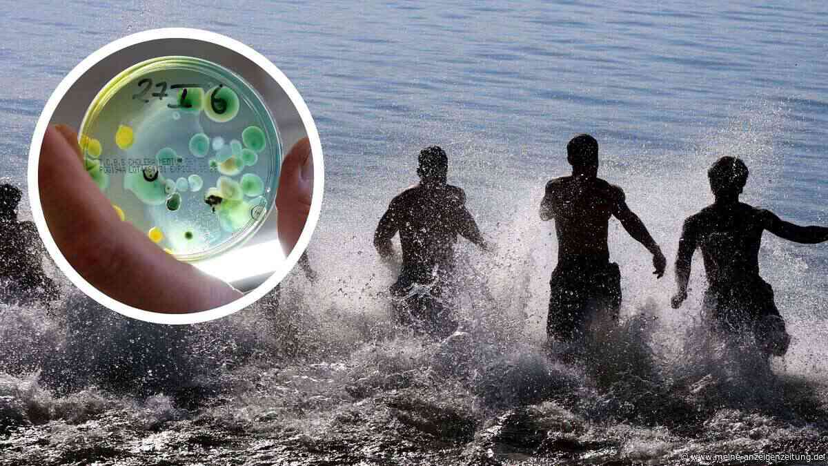 Fleischfressende Bakterien auf dem Vormarsch: Wie El Niño das Risiko erhöhen könnte