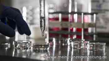 Embryonenverwechslung in Neapel: DNA-Test bringt Eltern in Gewissenskonflikt