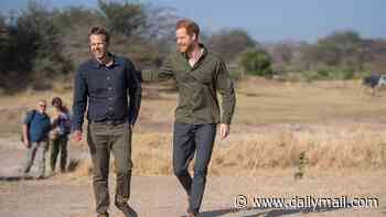 Prince Harry stops giving money from Diana's memorial fund to Sentebale as he diverts cash to elephant charity