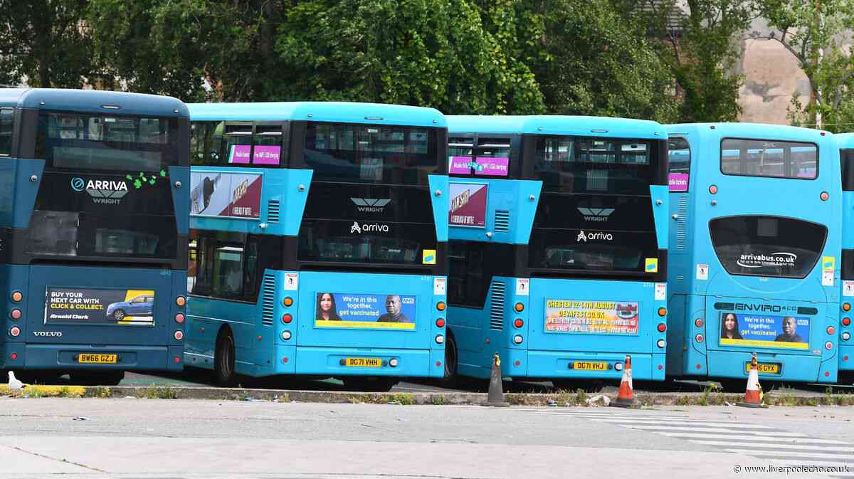 Everyone eligible for free bus pass and when you should apply