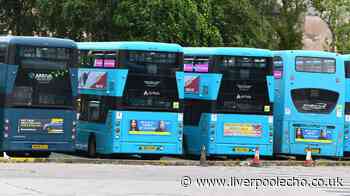 Everyone eligible for free bus pass and when you should apply