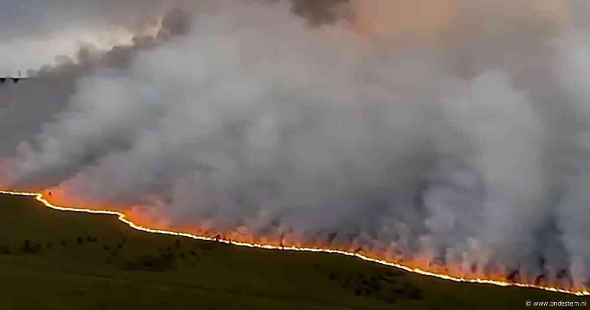 LIVE Extreem weer | Brand in België blijft uitbreiden: al meer dan 2700 hectare verwoest en 600 personen geëvacueerd