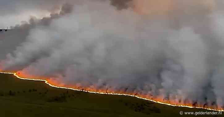 LIVE Extreem weer | Brand in België blijft uitbreiden: al meer dan 2700 hectare verwoest en 600 personen geëvacueerd
