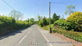 Arrest after woman's sudden death