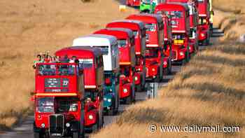 The road to nowhere! Dozens board 40 vintage red buses for annual one-day-only visit to 'ghost' village