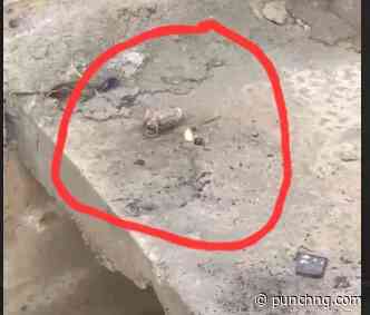 Police recover hand grenade from drainage slab in Maiduguri