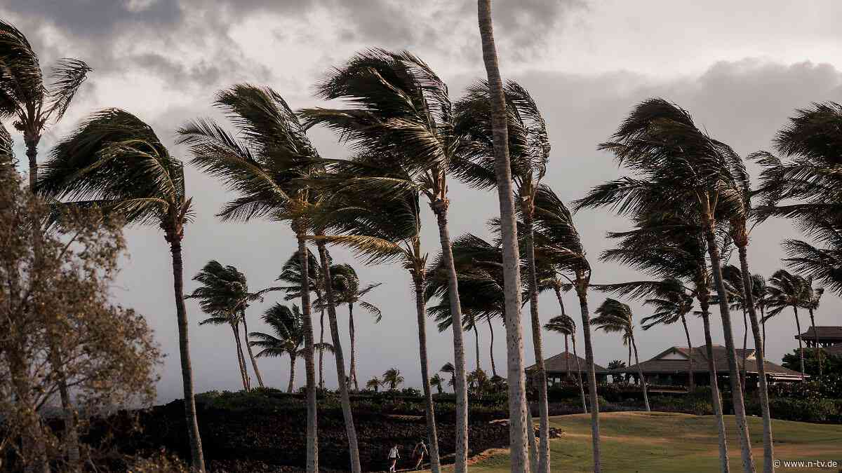 Starkregen und Stromausfälle: Tropensturm Lala entwickelt sich vor Hawaii zu Hurrikan