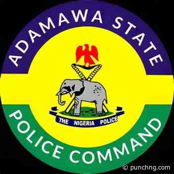 Police probe Adamawa DPO over bail extortion, unlawful detention allegations