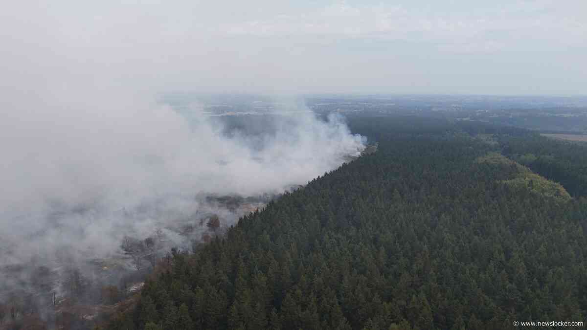 LIVE | Brand in België blijft uitbreiden: meer dan 2000 hectare in vlammen opgegaan en 600 mensen geëvacueerd 
