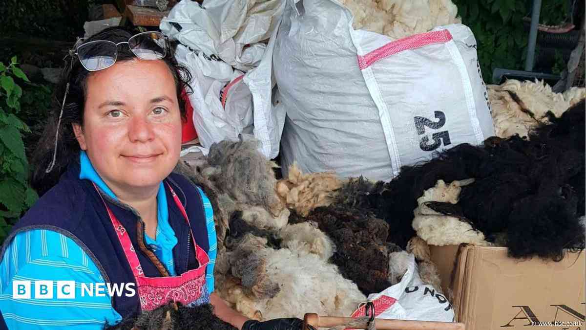 Wool farmer fundraising to feed sheep criticised for buying coffee and croissant
