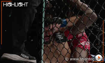UFC 330 highlight video: Neil Magny TKOs Ramiz Brahimaj