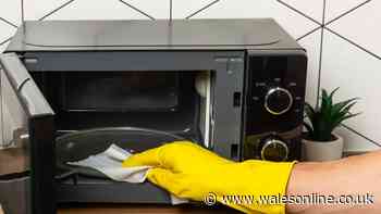 I tried a 37p supermarket buy to clean my microwave — it worked in minutes