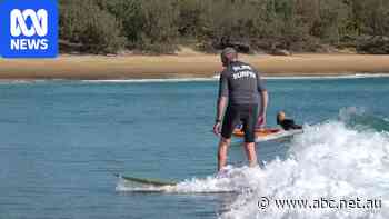 Blind surfer stuns locals at Queensland beach