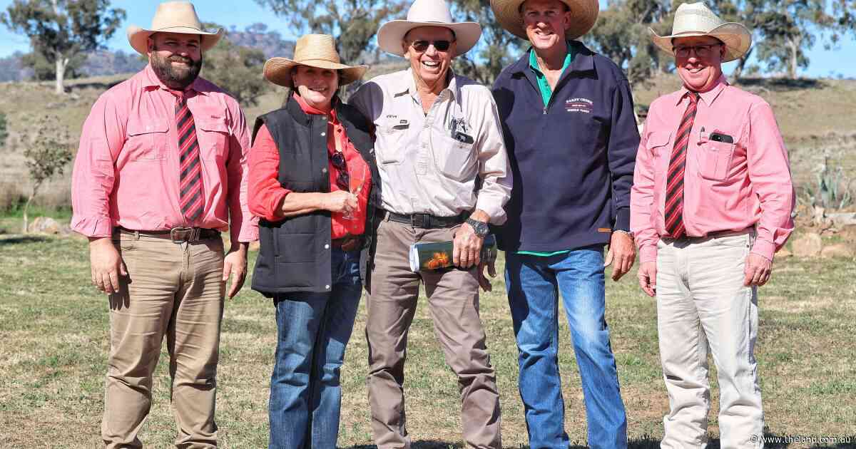 First Firestone sons command strong interest at Oakey Creek auction