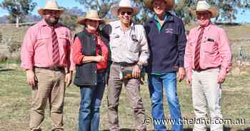 First Firestone sons command strong interest at Oakey Creek auction
