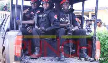 Police recover grenade from Borno drainage