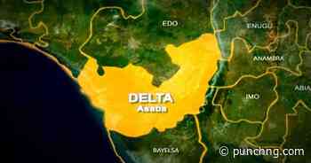 Tipper crushes Delta brothers to death at drinking joint