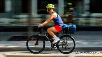 Ontario Court of Appeal says Ford can rip out Toronto bike lanes