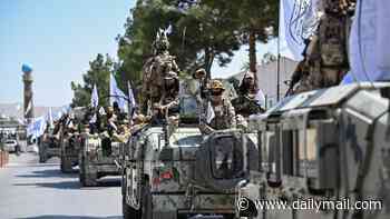 Campaigners urge UK to fight back over Taliban's purge on women's rights