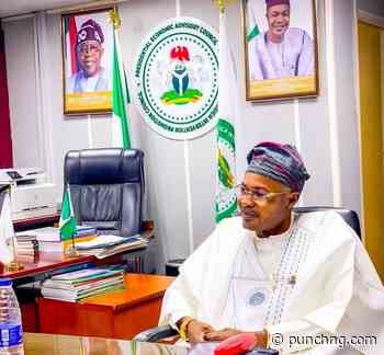 Fake agency: Disagreements stall Reps panel report
