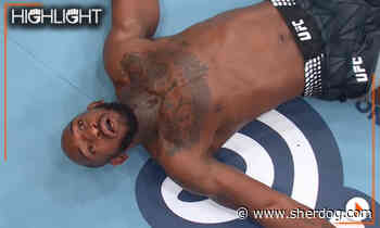 UFC 330 highlight video: Donte Johnson obliterates Eric McConico