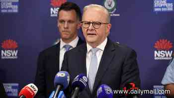 Anthony Albanese secures gun buyback in Aussie state after Bondi Beach massacre - but One Nation opposition makes it an election issue