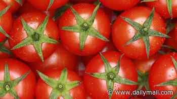 Tomato a day can cut risk of fatty liver disease, study reveals