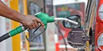 Petrol, diesel supplies rise as fresh cargoes arrive