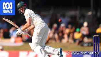 Live: Australia in desperate need of runs with Bangladesh closing in on famous win