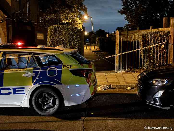 Police cordon off Byron Park in Wealdstone after early-hours incident