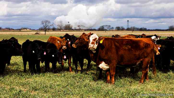 Tyson Foods to close 2 facilities, pursue sale of another amid 'historic' cattle shortage