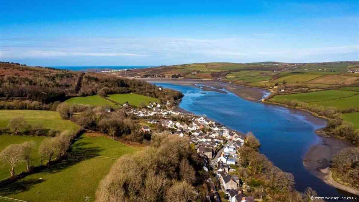 Tiny Welsh village has a pub on the river, but really it's all about the seals that live there