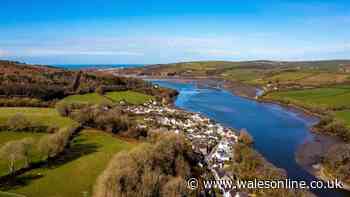 Tiny Welsh village has a pub on the river, but really it's all about the seals that live there