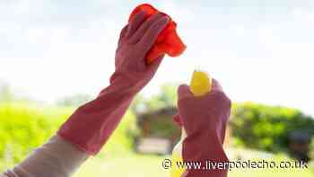 Clean windows and leave them streak-free by wiping them with 2 'old-fashioned' items
