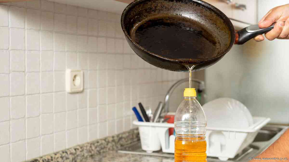 Binman has final say on how to dispose of used cooking oil — it's not the food bin