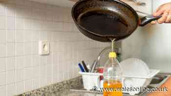 Binman has final say on how to dispose of used cooking oil — it's not the food bin