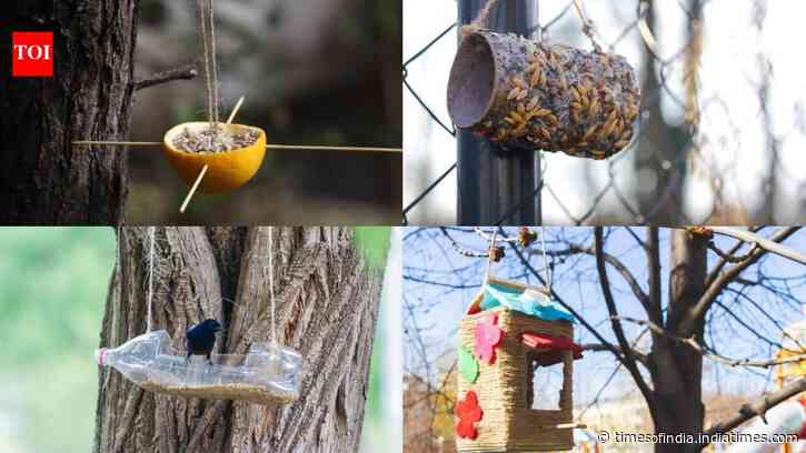 DIY: 5 creative bird feeders you can make from things you already have at home