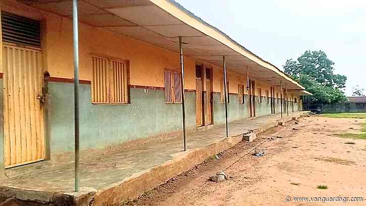 In Ekiti, students abandon school for online scam as mums form ‘Iya Omo Ologo Association’