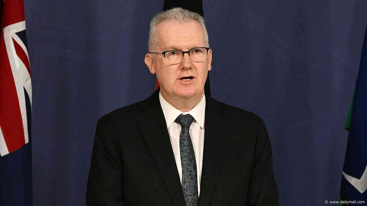 Albanese government's migration overhaul faces further delays - as Pauline Hanson calls for cuts