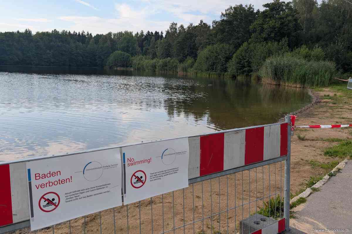 Freiberger Waldbad gesperrt: Diese nahen Badestellen sind aktuell offen