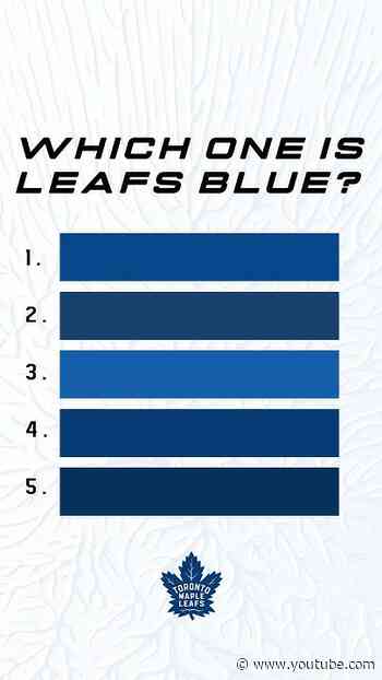 Which one is Leafs Blue?? 🧐🔵