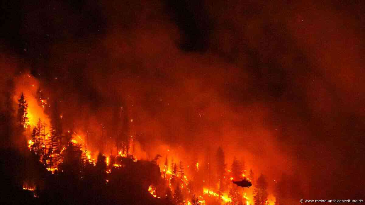 Je schneller Wälder brennen, desto intensiver brennen sie