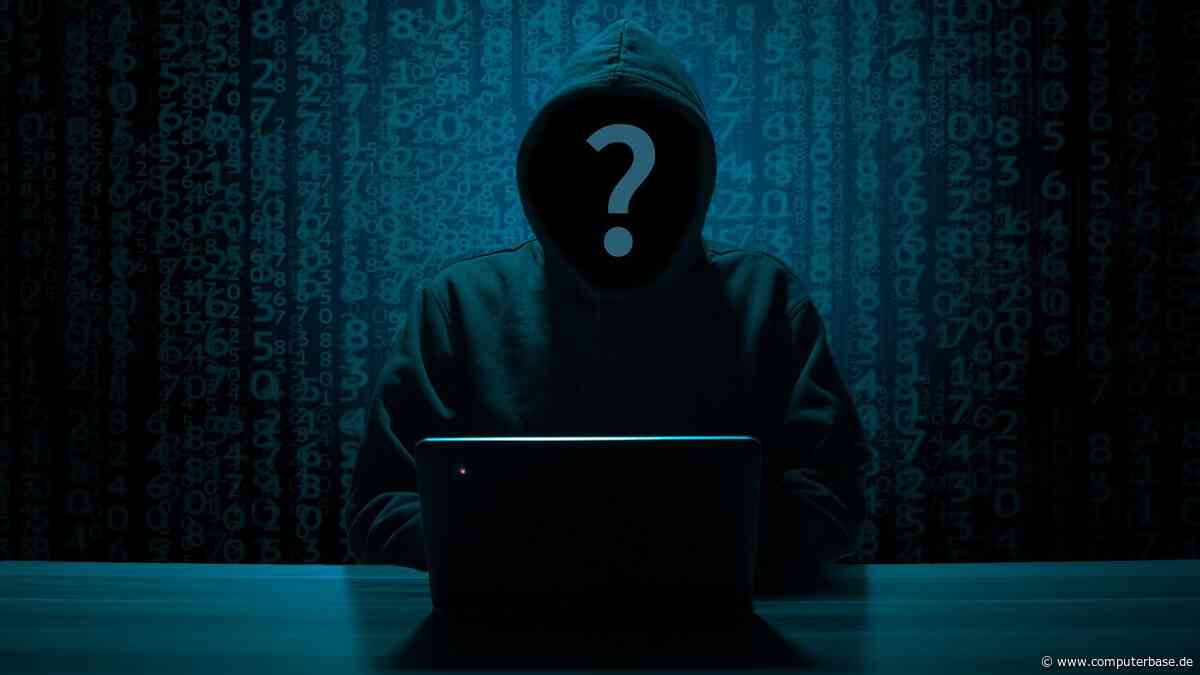 Hackback: USA lassen private Firmen Cyberkriminelle angreifen