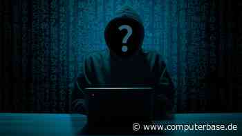 Hackback: USA lassen private Firmen Cyberkriminelle angreifen