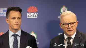 Coalition slams ‘failed’ gun buybacks as Albanese vows to push on