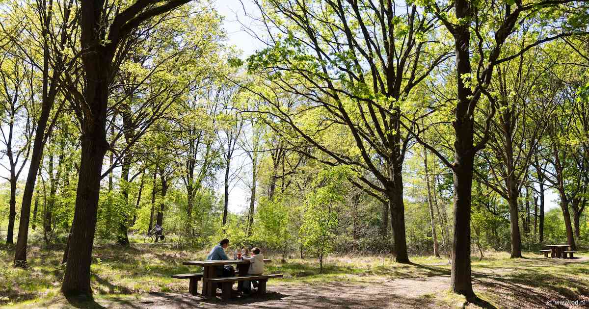 Hup, de natuur in! 5 x mooie natuurgebieden in en rondom Eindhoven