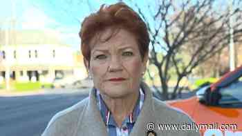 Pauline Hanson accused of wanting to 'destroy' compulsory super as she flags major change: 'It's their money'
