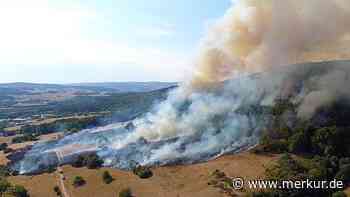 Waldbrand weitet sich aus: Bis zu 600 Feuerwehrleute im Einsatz